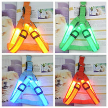 Load image into Gallery viewer, PET Nylon LED Dog Harness Pet Cat Dog Collar Harness Vest Safety Lighted Dog Harness Pet Dogs Luminous Fluorescent Collars