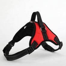Load image into Gallery viewer, Large Pet Dog Collar Harness Leash Set Traction Rope Walk The Dog P Chain Pet Lead Harness Vest for Medium Large Dogs