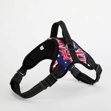 Load image into Gallery viewer, Large Pet Dog Collar Harness Leash Set Traction Rope Walk The Dog P Chain Pet Lead Harness Vest for Medium Large Dogs