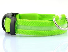 Load image into Gallery viewer, LED Pet Nylon Dog Collar Night Safety Flashing Glow In The Dark Dog Leash Dogs Luminous Fluorescent Collars Collar Perro