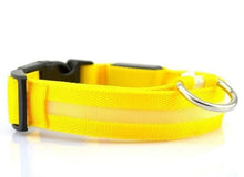 Load image into Gallery viewer, LED Pet Nylon Dog Collar Night Safety Flashing Glow In The Dark Dog Leash Dogs Luminous Fluorescent Collars Collar Perro