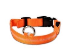 Load image into Gallery viewer, LED Pet Nylon Dog Collar Night Safety Flashing Glow In The Dark Dog Leash Dogs Luminous Fluorescent Collars Collar Perro