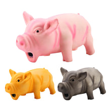 Load image into Gallery viewer, Dog Squeaker Chew Training Pet Products for Cute Pig Grunting Squeak Latex Pet Chew Toys  pet toys