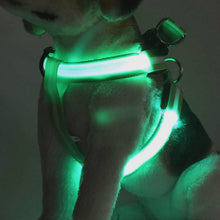 Load image into Gallery viewer, Rechargeable LED Nylon Pet Dog Cat Harness Led Flashing Light Harness Collar Pet Safety Led Leash Rope Belt Dog Accessories